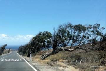 Y llegó el verano de la pandemia (Foto Jesús Ruiz Mesa)